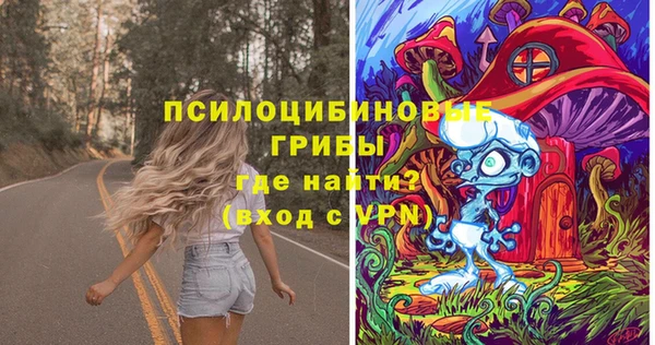 ешки Арсеньев