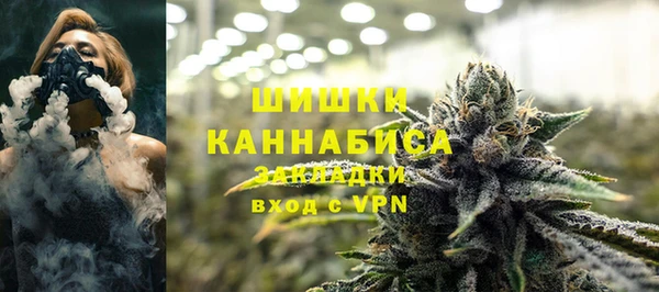 дживик Сатка