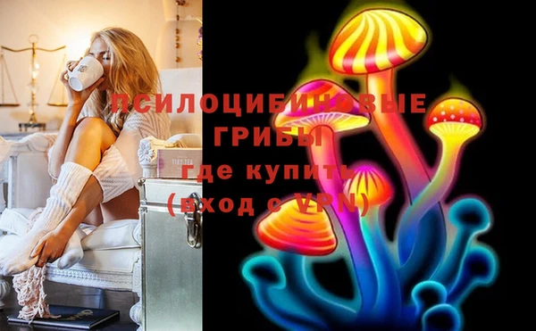 ешки Арсеньев